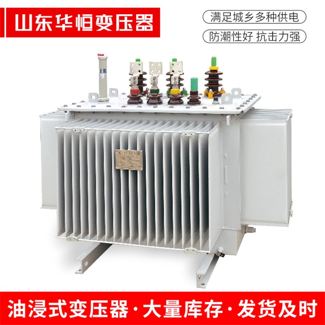 S13-10000/35呼玛呼玛呼玛电力变压器